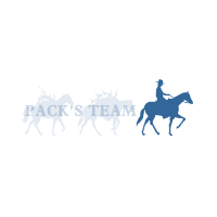 商标名称：PACK'S TEAM
注 册 号：53618545