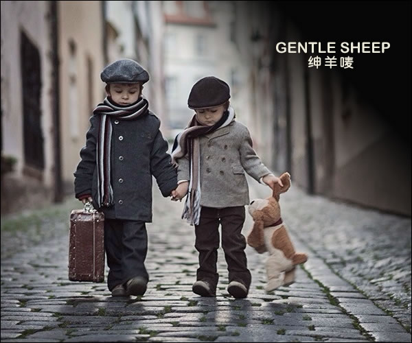 商标名称：绅羊唛 GENTLE SHEEP
注 册 号：11903745/16104516