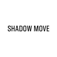 商标名称：SHADOW MOVE
注 册 号：44990951