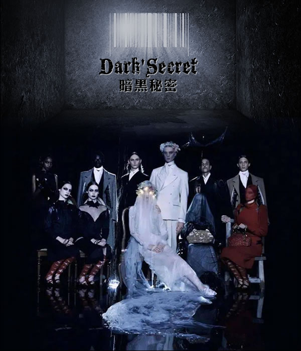 商标名称：暗黑秘密 DARK SECRET
注 册 号：51487804